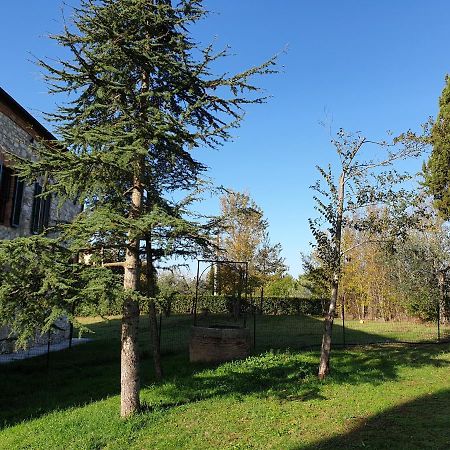 Podere Il Poggio Asciano Luaran gambar