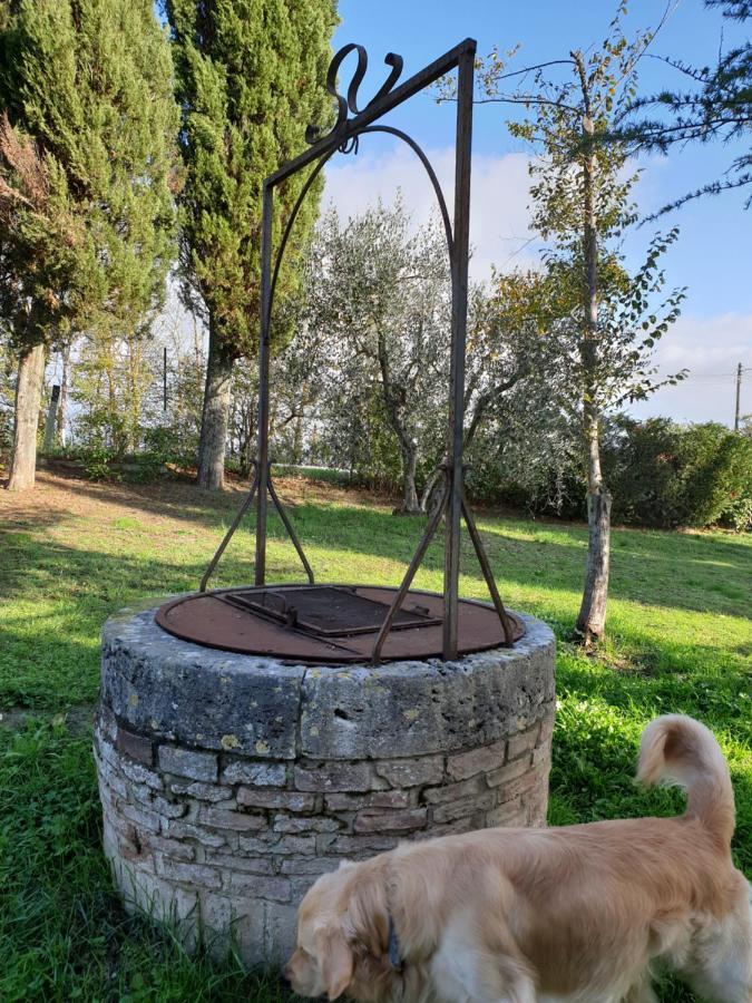 Podere Il Poggio Asciano Luaran gambar