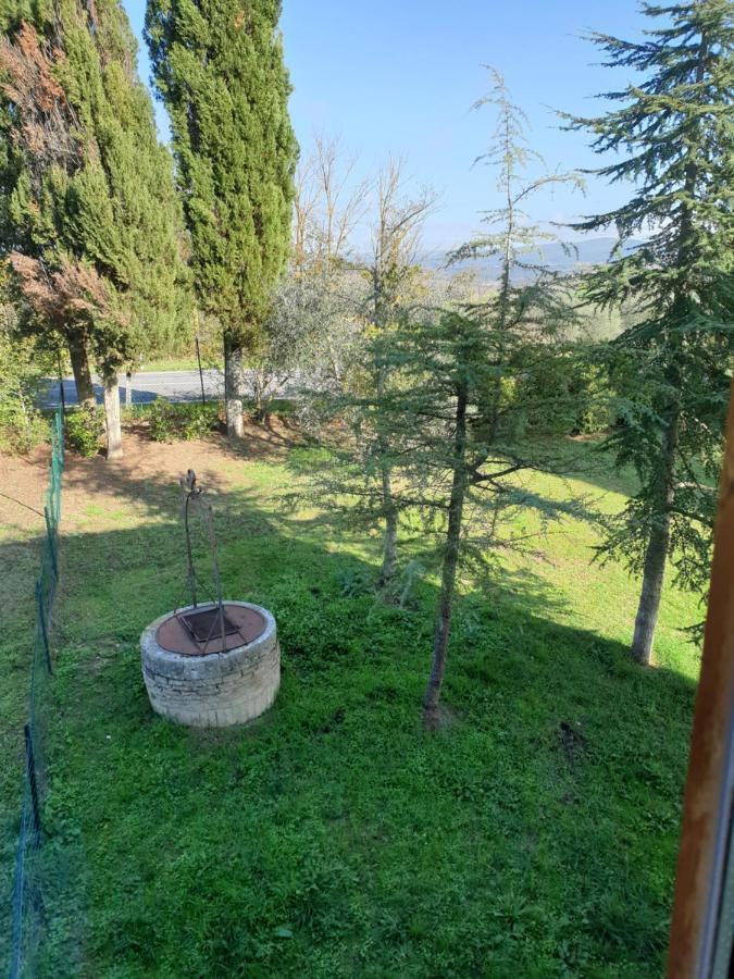 Podere Il Poggio Asciano Luaran gambar