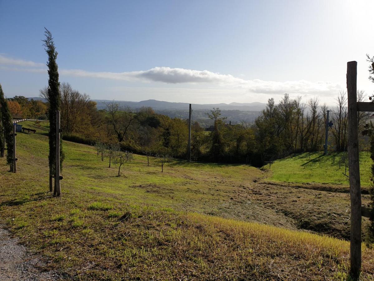 Podere Il Poggio Asciano Luaran gambar